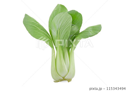 Fresh Green Cos Lettuce Isolate on White Background Fresh Green Cos Lettuce Isolate on White Background 115343494