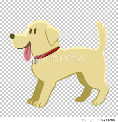 Illustration of labrador retriever 115344200