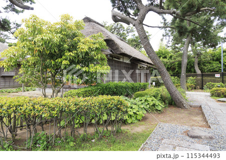 緑豊かな公園(伊藤博文別邸)の初夏 緑豊かな公園(伊藤博文別邸)の初夏 115344493