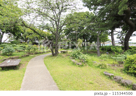 緑豊かな公園(伊藤博文別邸)の初夏 緑豊かな公園(伊藤博文別邸)の初夏 115344500