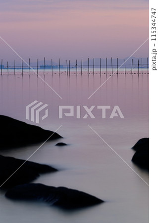 夕暮れの湖　琵琶湖 115344747