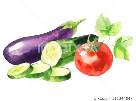 ナスときゅうりとトマトの水彩イラスト ナスときゅうりとトマトの水彩イラスト 115344847