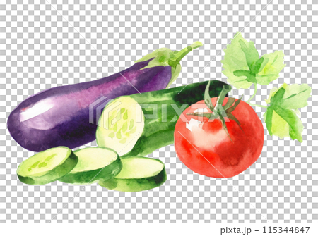 ナスときゅうりとトマトの水彩イラスト ナスときゅうりとトマトの水彩イラスト 115344847