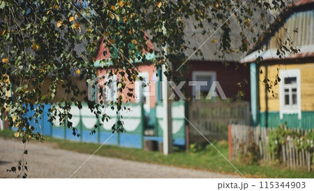 Rural landscape. Birch branches on the background of houses in a village in Eastern Europe. 115344903