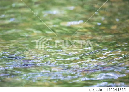 透明度の高い森の清流に映る新緑　鏡野町 115345235
