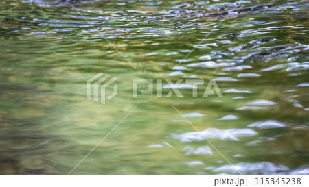 透明度の高い森の清流に映る新緑　鏡野町 115345238