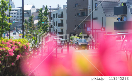 世田谷区三軒茶屋付近の街並み 115345258