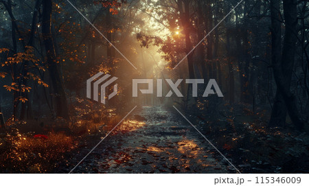 A forest path is lit by the sun, casting a warm glow on the trees and leaves 115346009