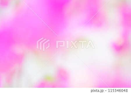 ピンクカラーフラワーイメージ (ぼかし) ピンクカラーフラワーイメージ (ぼかし) 115346048