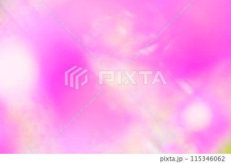 ピンクカラーフラワーイメージ　(ぼかし) 115346062