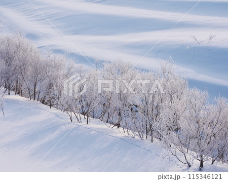 冬の北海道岩見沢市 みらい大橋から石狩川の雪景色を臨む 冬の北海道岩見沢市 みらい大橋から石狩川の雪景色を臨む 115346121