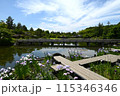 花菖蒲が咲く日本庭園 115346346