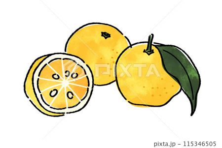 柚子 柚子 115346505