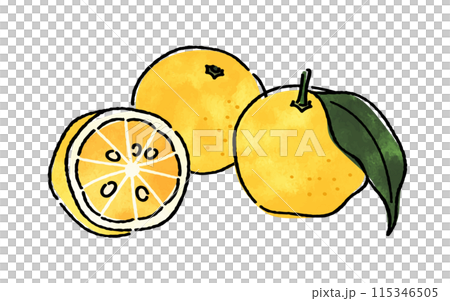 柚子 柚子 115346505