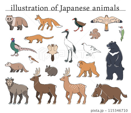 日本の動物のイラストセット 115346710