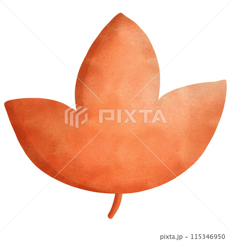 Orange leaf, transparency illustration. Orange leaf, transparency illustration. 115346950