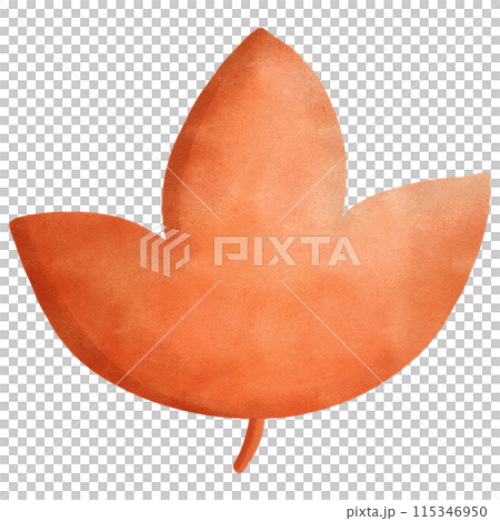 Orange leaf, transparency illustration. Orange leaf, transparency illustration. 115346950