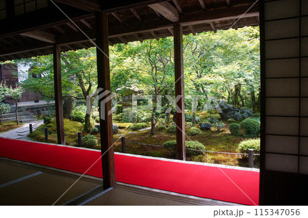 圓光寺の庭 115347056
