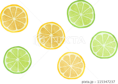 輪切りになったレモンとライムのイラスト 115347237