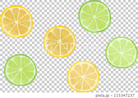 切片檸檬和酸橙的插圖 115347237