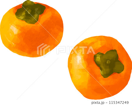水彩風タッチの柿のイラスト 115347249
