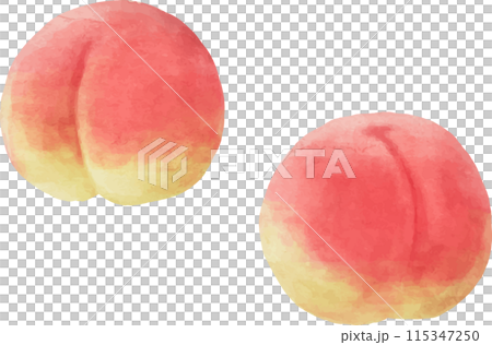 Watercolor-style peach illustration Watercolor-style peach illustration 115347250