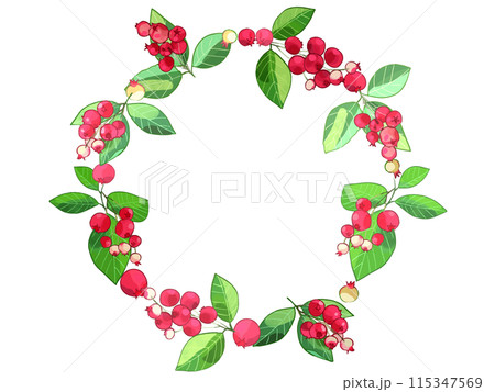 ジューンベリーリース ジューンベリーリース 115347569