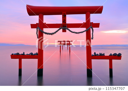 【佐賀県】朝焼けの大魚神社の海中鳥居 115347707