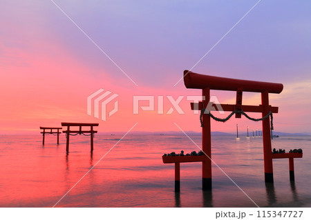 【佐賀県】朝焼けの大魚神社の海中鳥居 【佐賀県】朝焼けの大魚神社の海中鳥居 115347727