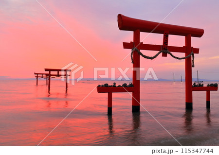 【佐賀県】朝焼けの大魚神社の海中鳥居 115347744