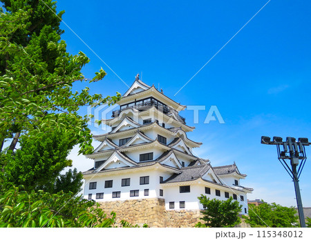 青空に映える福山城天守閣 115348012