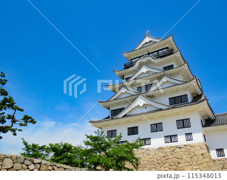 青空に映える福山城天守閣 115348013