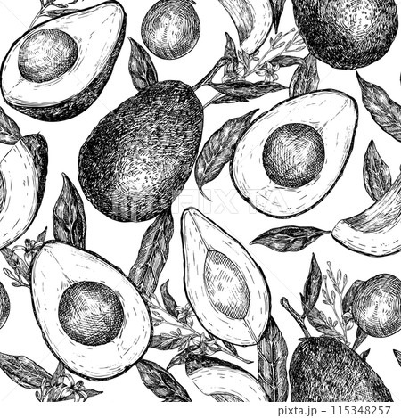 Seamless pattern with avocado hass graphic illustration, hand drawn sketch of vegetable,sliced avocado, leaves, flowers. Botanical drawing of tropical fruit. Engraving for food packaging design. Seamless pattern with avocado hass graphic illustration, hand drawn sketch of vegetable,sliced avocado, leaves, flowers. Botanical drawing of tropical fruit. Engraving for food packaging design. 115348257