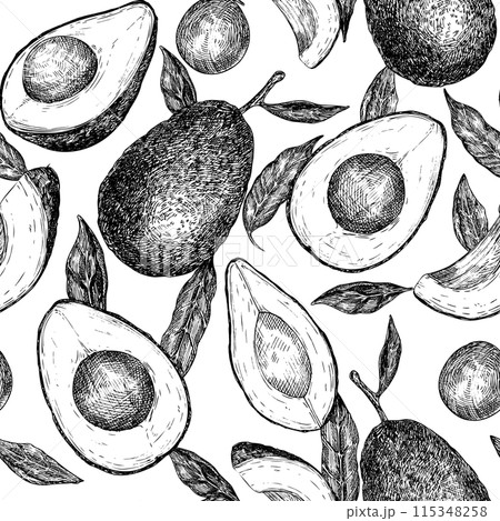 Seamless pattern with avocado hass graphic illustration, hand drawn sketch of vegetable,sliced avocado, leaves. Botanical drawing of tropical fruit. Engraving for food packaging design. Plant sketch Seamless pattern with avocado hass graphic illustration, hand drawn sketch of vegetable,sliced avocado, leaves. Botanical drawing of tropical fruit. Engraving for food packaging design. Plant sketch 115348258