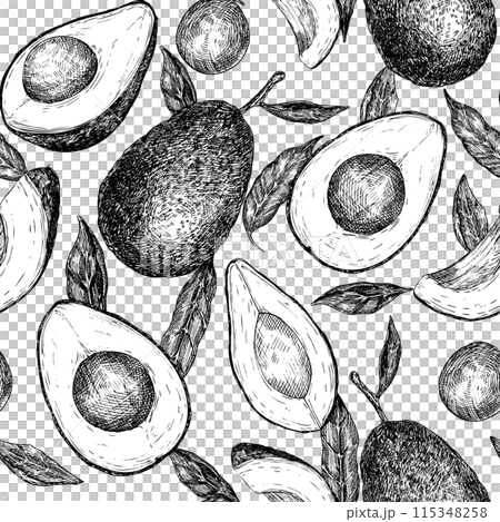 Seamless pattern with avocado hass graphic illustration, hand drawn sketch of vegetable,sliced avocado, leaves. Botanical drawing of tropical fruit. Engraving for food packaging design. Plant sketch Seamless pattern with avocado hass graphic illustration, hand drawn sketch of vegetable,sliced avocado, leaves. Botanical drawing of tropical fruit. Engraving for food packaging design. Plant sketch 115348258