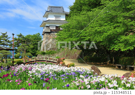 【長崎県】晴天の大村公園の板敷櫓と花菖蒲(玖島城) 【長崎県】晴天の大村公園の板敷櫓と花菖蒲(玖島城) 115348511