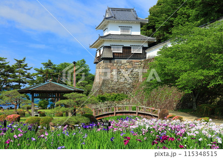 【長崎県】晴天の大村公園の板敷櫓と花菖蒲（玖島城） 115348515