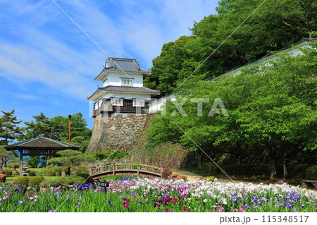 【長崎県】晴天の大村公園の板敷櫓と花菖蒲（玖島城） 115348517