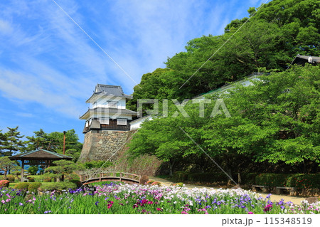 【長崎県】晴天の大村公園の板敷櫓と花菖蒲（玖島城） 115348519