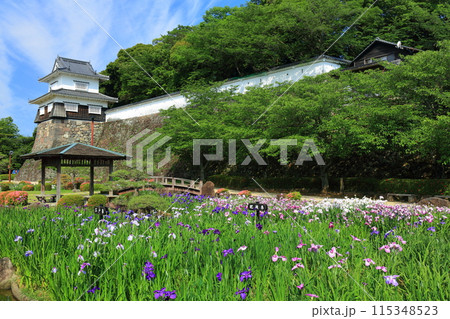 【長崎県】晴天の大村公園の板敷櫓と花菖蒲（玖島城） 115348523