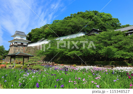 【長崎県】晴天の大村公園の板敷櫓と花菖蒲（玖島城） 115348527