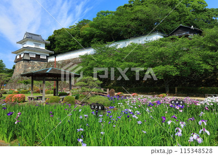 【長崎県】晴天の大村公園の板敷櫓と花菖蒲(玖島城) 【長崎県】晴天の大村公園の板敷櫓と花菖蒲(玖島城) 115348528