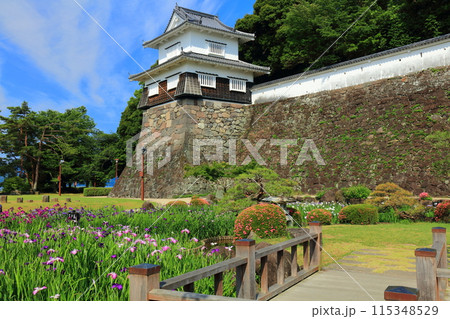 【長崎県】晴天の大村公園の板敷櫓と花菖蒲（玖島城） 115348529