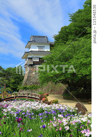 【長崎県】晴天の大村公園の板敷櫓と花菖蒲（玖島城） 115348530