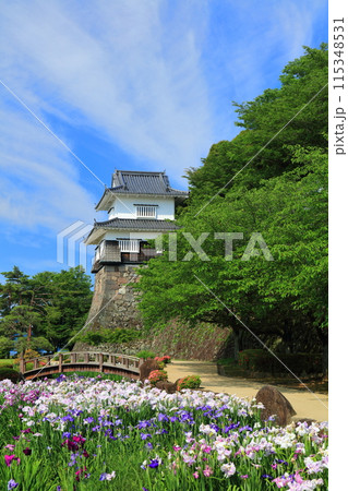 【長崎県】晴天の大村公園の板敷櫓と花菖蒲（玖島城） 115348531