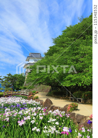 【長崎県】晴天の大村公園の板敷櫓と花菖蒲（玖島城） 115348532