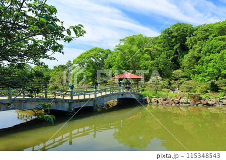 【長崎県】晴天の大村公園の桜田の堀(玖島城) 【長崎県】晴天の大村公園の桜田の堀(玖島城) 115348543