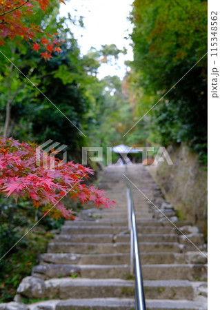 【京都】二尊院の紅葉 115348562