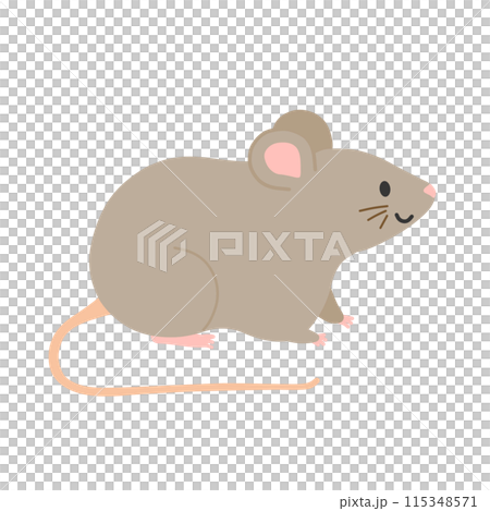 Illustration of a cute mouse 115348571