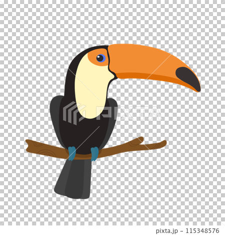 Colorful toco toucan 115348576